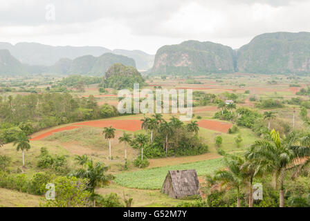 Cuba, Pinar del Rio, Vinales, vue depuis l'hôtel Los Jazmines pour la Vallée de Vinales Banque D'Images