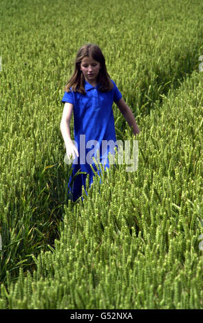 Samantha, 11 ans, trace le chemin emprunté par Sarah Payne, âgée de 8 ans, lors d'une reconstruction des derniers mouvements de la jeune fille disparue avant de disparaître il y a six jours dans les champs de blé près d'East Preston, West Sussex.* les parents épuisés de Sarah Sara et Michael, tous deux 31, ont dit qu'ils avaient été aidés par leur tourment en déplaçant des messages d'espoir envoyés par des écoliers locaux.Voir l'histoire de l'AP, FILLE MANQUANTE.Photo PA: Tim Ockenden. Banque D'Images