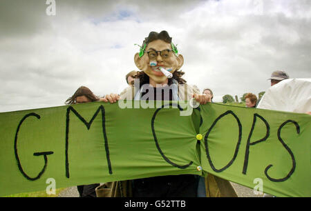 Un démonstrateur de cultures anti-OGM du groupe de militants écologistes Earth First se rend sur le site du seul site d'essai approuvé d'Écosse pour les cultures à New Craig Farm, près de Daviot, Aberdeenshire. 16/08/02 : un démonstrateur de cultures anti-OGM du groupe de militants écologistes Earth First, se rendant sur le site du seul site d'essai approuvé d'Écosse pour les cultures à New Craig Farm, près de Daviot, Aberdeenshire. Banque D'Images