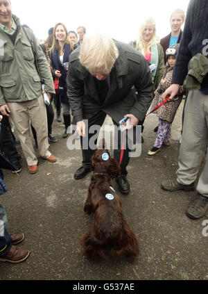 Rencontre avec le maire de Londres Boris Johnson truffe le chien pendant la campagne avant la course de bateaux d'Oxford et de Cambridge, à Chiswick Bridge dans l'ouest de Londres. Banque D'Images