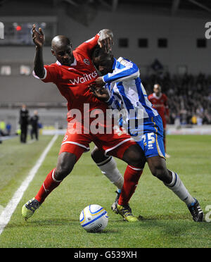 Football - Championnat de football npower - Brighton & Hove Albion v Reading - Stade AMEX.Kazenga LuaLua de Brighton & Hove Albion et Jason Roberts de Reading se battent pour le ballon Banque D'Images