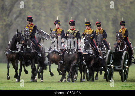 La troupe du roi Royal Horse Artillery parade à Hyde Park alors qu'ils se préparent aux célébrations du Jubilé de diamant de la reine. Banque D'Images