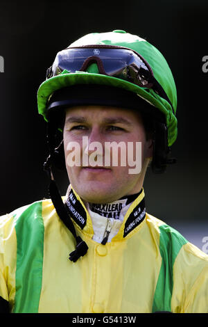 Courses hippiques - bet365 Ultimate Celebration Friday - Sandown Park Racecourse. Tom Queally, jockey Banque D'Images