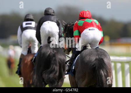 Les coureurs et les coureurs font leur chemin jusqu'au début de Le Compton Beauchamp Estates Ltd E B F Maiden Stakes Banque D'Images