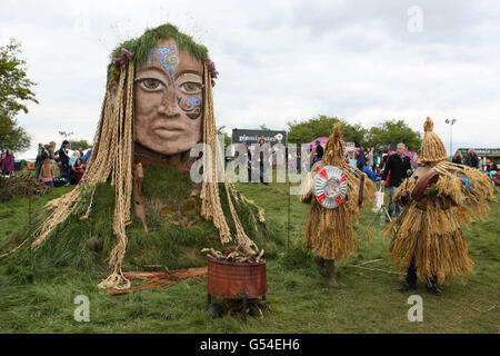 Festival de feux de forêt Banque D'Images