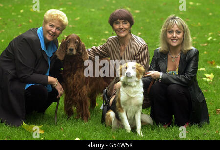 (G-D) acteurs PAM St Clement, June Brown et Tracie Bennett avec Leo, un chien de sauvetage de 10 mois et Holly, un Red Setter qui a été béni des chèques de santé en raison de subventions du Kennel Club, dans le centre de Londres, lançant un appel du Kennel Club. *... pour recueillir 1 million pour le Kennel Club Charitable Trust. Banque D'Images