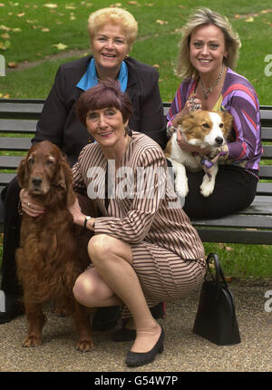 (G-D) acteurs PAM St Clement, June Brown et Tracie Bennett avec Leo, un chien de sauvetage de 10 mois et Holly, un Red Setter qui a bénéficié de contrôles de santé dus à des subventions du Kennel Club, dans le centre de Londres, lançant un appel du Kennel Club. *... pour recueillir 1 million pour le Kennel Club Charitable Trust. Banque D'Images