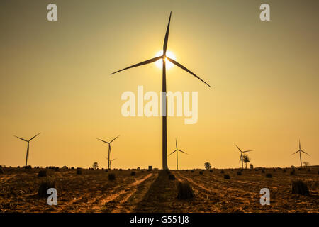 Coucher de soleil à la ferme éolienne en Thaïlande Banque D'Images