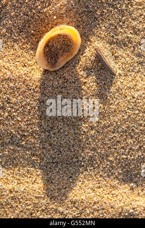 Close up detail d'une coquille renversée niché dans le sable avec une forte lumière du soleil chaud d'une grande ombre sur les grains de la plage de sable Banque D'Images