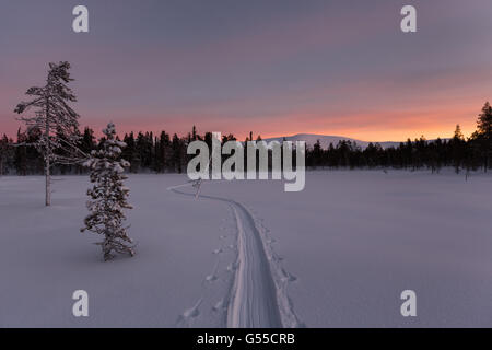 Ski de randonnée dans le parc national Urho Kekkonen, Sodankylä, Laponie, Finlande, Europe, UNION EUROPÉENNE Banque D'Images