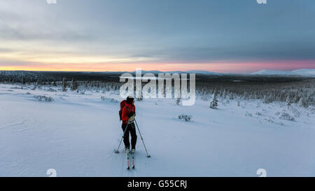 Le ski dans le parc national Urho Kekkonen, Sodankylä, Laponie, Finlande, Europe, UNION EUROPÉENNE Banque D'Images