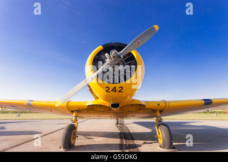 Vintage restauré fait canadien formateur Harvard pour les avions en provenance de WW2 s'asseoir sur le tarmac de l'aéroport. Banque D'Images