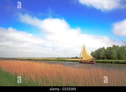 Un yacht de l'adherence contre le vent sur la rivière Bure sur les Norfolk Broads à Upton, Norfolk, Angleterre, Royaume-Uni. Banque D'Images