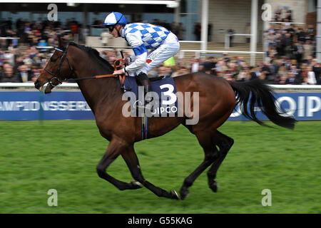 Al Kazeem monté par James Doyle va à la poste Les enjeux du Qatar Bloodstock Jockey Club Banque D'Images