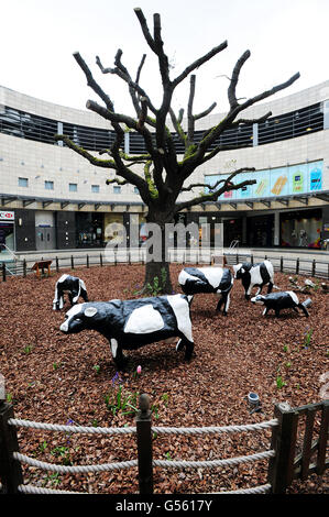 Milton Keynes aimait le mieux les pièces d'art les vaches en béton exposées au centre commercial Midsummer place, Milton Keynes. Créées en 1978 par l'artiste Liz Leyh, les vaches étaient autrefois cyniquement dites symboliser une nouvelle ville entièrement en béton. Banque D'Images