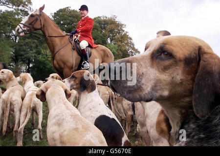 Hugo Busby, maître de la chasse Portman à Dorset, a entamé la nouvelle saison de chasse au renard à Manston, près du Forum Blandford.Le gouvernement présentera sous peu un projet de loi sur les options pour permettre aux députés de voter sur une éventuelle interdiction.* traditionnellement, le jour d'ouverture de la saison est le samedi le plus proche le 1er novembre, donc quelques chasses vont commencer le week-end prochain.*05/03/02 Hugo Busby, Maître de la chasse Portman à Dorset la nouvelle saison de chasse au renard est en cours à Manston, près du Forum Blandford.La plupart des Britanniques estiment que l'interdiction de la chasse au renard ne devrait pas être une priorité absolue pour le Parlement, selon un sondage, Banque D'Images