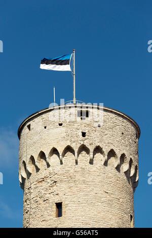 Le pavillon estonien sur la tour sur la colline de Toompea, Tallinn, Estonie Banque D'Images