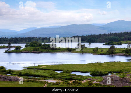 Gleninchaquin Park, Cloonee Lough, Péninsule de Beara, comté de Kerry, Irlande Banque D'Images