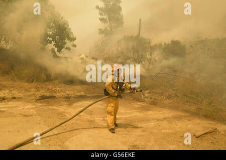 Duarte, CA, USA. Août 29, 2015. Le Comté de Los Angeles les pompiers travaillent à éteindre les flammes de la gravure d'un horse stable sur les poissons Rd lundi après-midi que le feu brûlait de poissons de plus de 1400 hectares. Le feu brûle au-dessus de poissons Duarte et le comté de Los Angeles lundi après-midi 20 juin, 2016. Le réservoir incendie a aussi commencé à proximité lors de l'enregistrement de la chaleur dans le sud-ouest. L'incendie était de 1 400 acres à 2:50pm. © Stuart Palley/ZUMA/Alamy Fil Live News Banque D'Images