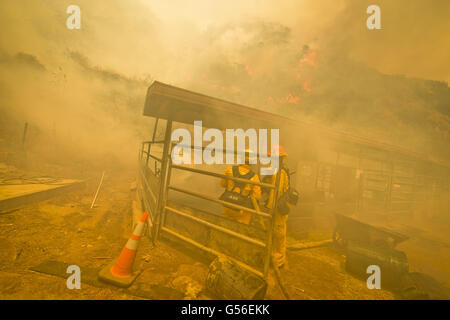 Duarte, CA, USA. Août 29, 2015. Le Comté de Los Angeles les pompiers travaillent à éteindre les flammes de la gravure d'un horse stable sur les poissons Rd lundi après-midi que le feu brûlait de poissons de plus de 1400 hectares. Le feu brûle au-dessus de poissons Duarte et le comté de Los Angeles lundi après-midi 20 juin, 2016. Le réservoir incendie a aussi commencé à proximité lors de l'enregistrement de la chaleur dans le sud-ouest. L'incendie était de 1 400 acres à 2:50pm. © Stuart Palley/ZUMA/Alamy Fil Live News Banque D'Images