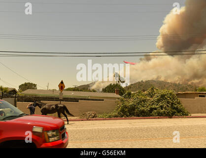 Duarte, CA, USA. Août 29, 2015. Un camion-citerne de retardateur de gouttes comme un résident à la rescousse d'un cheval sur les poissons comme le poisson Canyon Road Fire burns lundi après-midi près de Duarte. Le feu brûle au-dessus de poissons Duarte et le comté de Los Angeles lundi après-midi 20 juin, 2016. Le réservoir incendie a aussi commencé à proximité lors de l'enregistrement de la chaleur dans le sud-ouest. L'incendie était de 1 400 acres à 2:50pm. © Stuart Palley/ZUMA/Alamy Fil Live News Banque D'Images