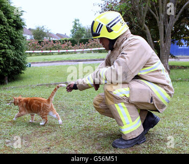 Warlingham, Surrey, UK. 21 Juin, 2016. GV d'une propriété qui a été laissé sans abri famille vidé et panneaux solaires défectueux après avoir mis le feu à l'espace du toit. L'incendie a dévasté la propriété juste après 9h30 ce matin. Désactiver un voisin a d'être secourus avec quatre chats et d'oiseaux. 'Un certain nombre de chats' a dû être sauvé d'une bien Warlingham mardi matin (21 juin) applancines incendie quatre de Leatherhead , Godstone Painshill , , and Banstead et Croydon et plate-forme d'une échelle aérienne ont été envoyés à l'incendie dans la région de Fern, près de Crowborough dur. Credit : uknip/Alamy Live N Banque D'Images