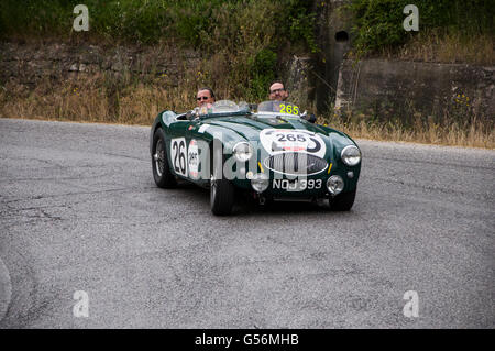 AUSTIN HEALEY 100 S 1953 vieille voiture de course en rallye Mille Miglia 2015 la célèbre course historique italien (1927-1957) en mai 2015 Banque D'Images