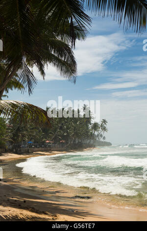 Sri Lanka, Galle Province, Unawatuna, Thalpe, Wijaya beach Banque D'Images