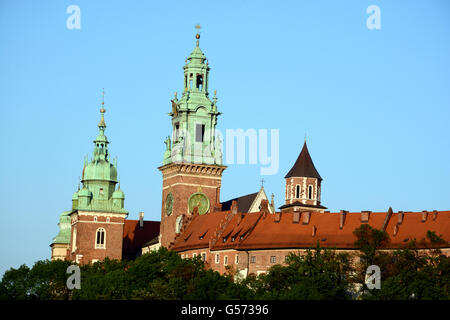 Cathédrale de Wawel Cracovie Pologne Europe Banque D'Images