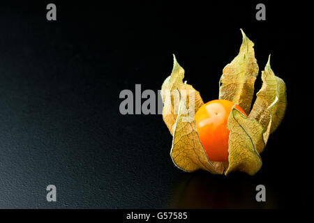 Détail de l'arrière-plan de fruits alkekengi Banque D'Images