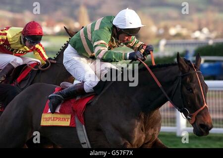 Go Roger Go Griven by jockey Norman Williamson (port de casquette blanche) va gagner la coupe d'or Tripleprint à Cheltenham racecourse. Banque D'Images