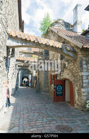 TALLINN, Estonie- 12 juin 2016 : les touristes sur St Catherine's Passage à Tallinn, Estonie Banque D'Images