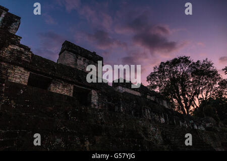 Le crépuscule tombe sur maler's palace dans les ruines mayas de Tikal, sur le côté sud de la grande place dans le nord du Guatemala. Banque D'Images