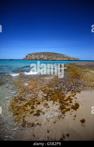 Plage de Cala Conta (Platges de Comte et de cala compte) à Ibiza, Iles Baléares, Espagne Banque D'Images