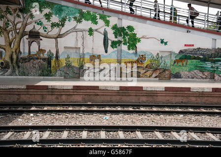 L'image de peinture a été prise à Sawai Madhopur, Inde Banque D'Images