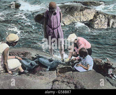 Dans Seehunden Kinder spielen mit den Schären. L'Europe, Suède, Suède, Scandinavie, voyage, archipel, enfants jouant avec les joints, années 10, 20, 20e siècle, archive, Carl Simon, histoire, historique, lame de verre colorée à la main, des enfants.Le jeu, les phoques, les animaux, l'eau, de l'océan, rock, assis Banque D'Images