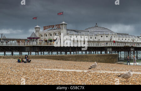 Des gens assis sur la plage de Brighton en hiver, près de grade11 énumérés jetée de Brighton, Brighton Seafront , East Sussex , Royaume-Uni Banque D'Images