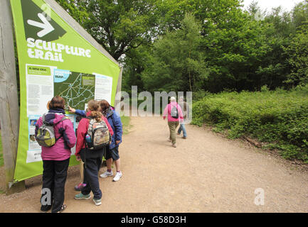 Les visiteurs d'œil à l'information de sélection au début de la Sculpture Trail dans la forêt de Dean près de Coleford - fin mai Banque D'Images