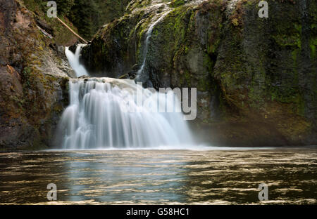 WA12832-00...WASHINGTON - La piscine à la base de la région de Lewis Falls sur la rivière Lewis dans le Parc National de Gifford Pinchot. Banque D'Images