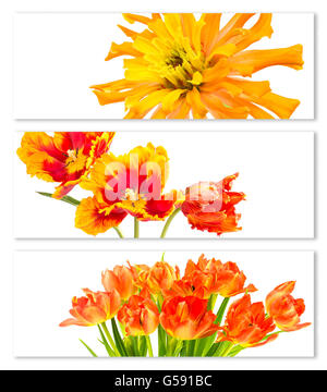 Ensemble de trois bannières horizontales aux couleurs orange, rouge et jaune fleurs, isolé sur blanc avec des ombres. Banque D'Images