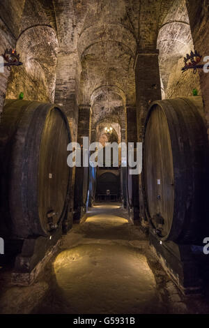 Des tonneaux de vin dans une cave à Montepulciano, Toscane Banque D'Images