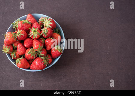 Pile de mûres juteuses fraises biologiques frais dans un grand bol bleu. Fond sombre. L'espace vide Banque D'Images