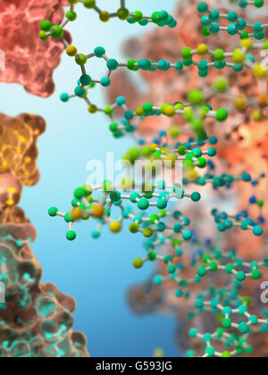 Détail d'une molécule en double hélice de l'ADN Banque D'Images