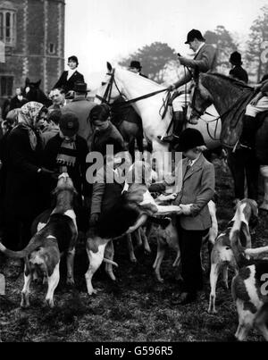 CHASSE AU RENARD 1959 : jeunes adeptes se faisant des amis avec les huards à la rencontre des enfants de la chasse du Norfolk Ouest à Middleton Towers, près de King's Lynn, Norfolk. Banque D'Images