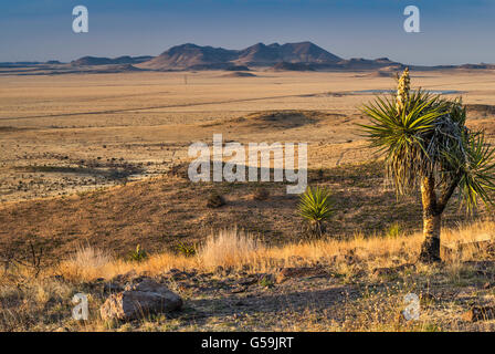 Loin de montagnes en désert de Chihuahuan, yucca dague espagnole à l'avant, à partir de la vue à Davis Mountains State Park, Texas Banque D'Images