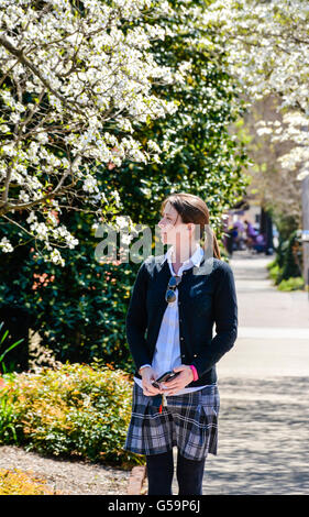 Profil jeune femme sur le trottoir entouré par des arbres en bois de chien en fleur portant paroissial style école jupe et gilet tenant téléphone cellulaire aux États-Unis Banque D'Images