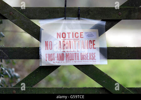 Farringford Farm, à Freshwater Bay, sur l'île de Wight, où des fonctionnaires du ministère de l'Agriculture étudient la possibilité d'une éclosion de fièvre aphteuse. *...les porcs de la ferme Farringford et un autre dans le Berkshire avaient été fournis à un abattoir dans l'Essex où la maladie virale a été découverte lundi. Jusqu'à présent, aucun signe de la maladie n'a été révélé chez les animaux de la ferme de l'île. Banque D'Images