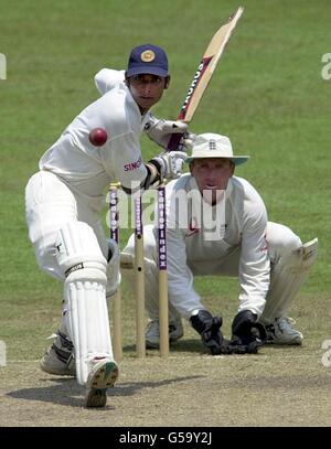 Kumar Sangakkara, batteur sri lankais, garde les yeux sur le ballon, lors de leur troisième match de cricket Test contre l'Angleterre au Scinghalais Sports Club, Colombo, au Sri Lanka. Banque D'Images