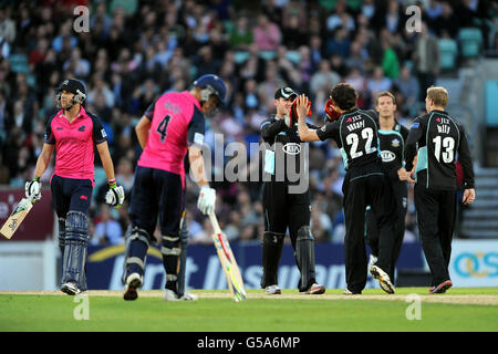 Zafar Ansari (troisième à droite), des Lions de Surrey, célèbre avec Steven Davies, gardien de la cicketkeeper, après avoir pris le cricket de Dawid Malan (à gauche) de Middlesex Panthers Banque D'Images