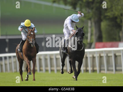 Les courses de chevaux - Le Piper Heidsieck juillet Festival - Abu Dhabi Jour - Newmarket Racecourse Banque D'Images